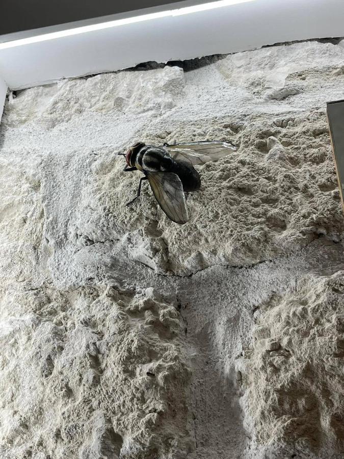 I Bastioni Apartment Palermo Exterior foto